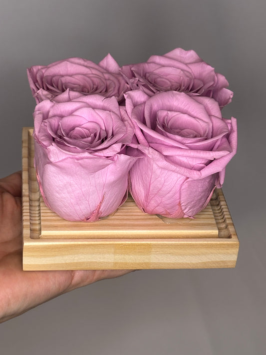 Love in Bloom